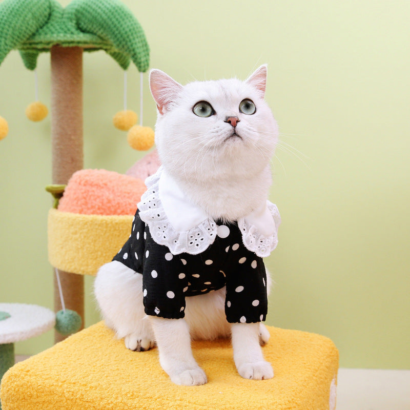 Blue Ragdoll Cat T-Shirt