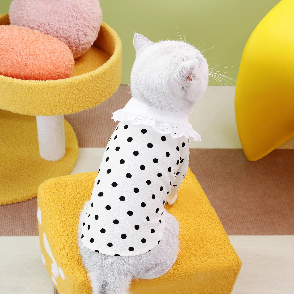 Blue Ragdoll Cat T-Shirt