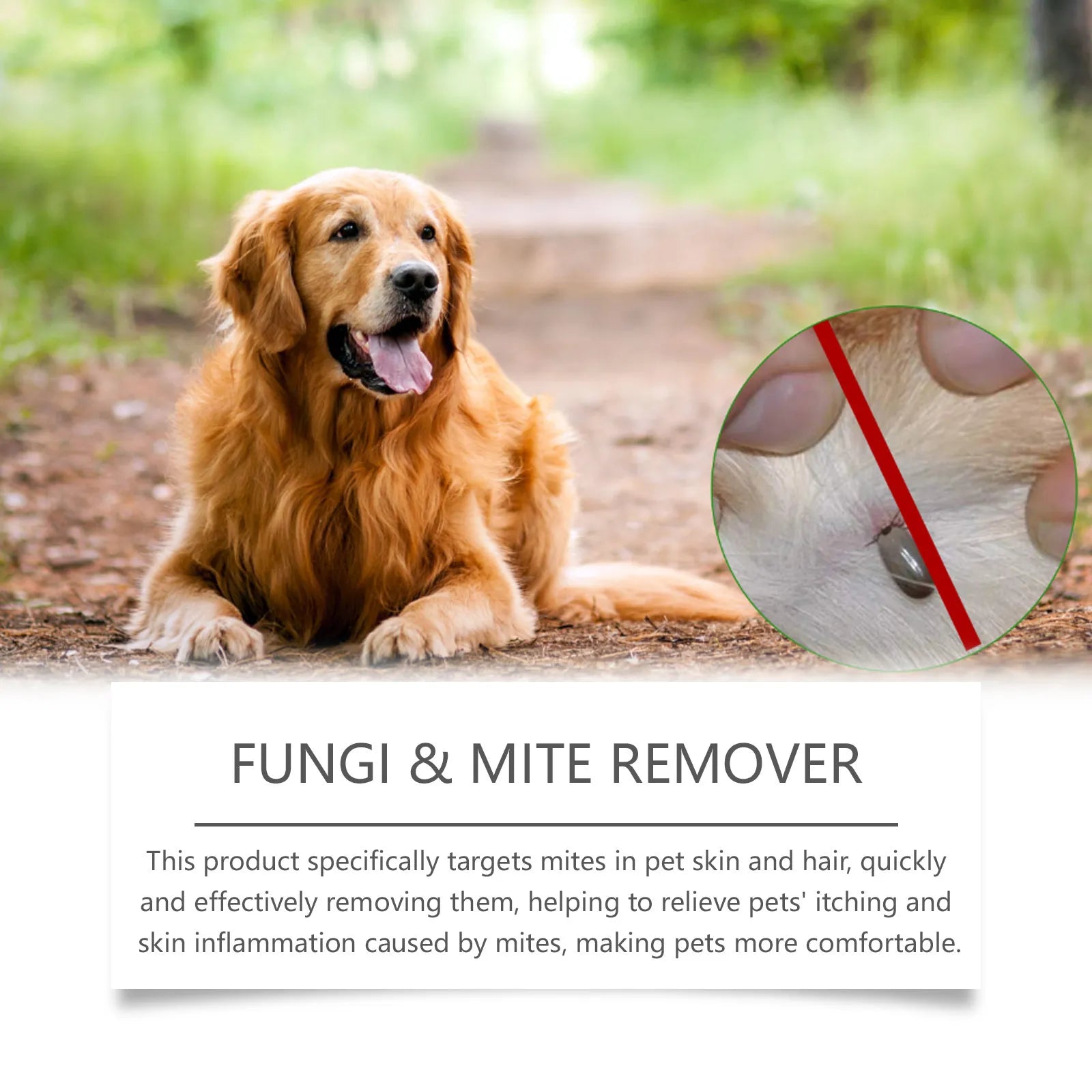 Pet Anti-Mite Health Cream