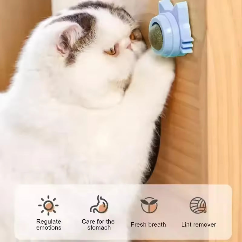Natural Catnip Wall Toy for Cats