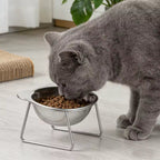 Tilted Stainless Steel Cat Bowl with Metal Stand