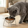 Tilted Stainless Steel Cat Bowl with Metal Stand