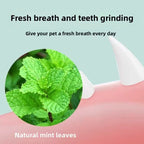 Natural Catnip Wall Toy for Cats