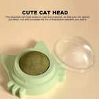 Natural Catnip Wall Toy for Cats