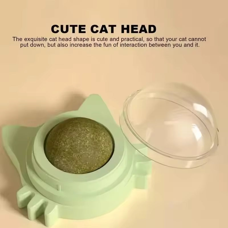 Natural Catnip Wall Toy for Cats