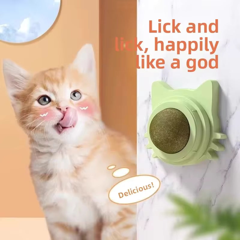 Natural Catnip Wall Toy for Cats